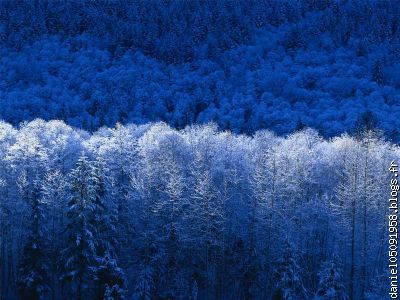 Paysage hivernal !